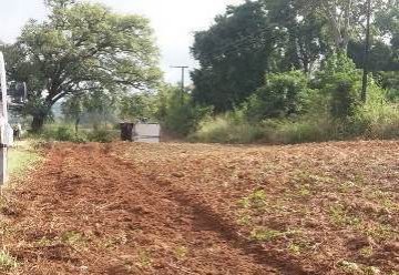 Caminh�o carregado com carne tomba na SP-294 em Fl�rida Paulista