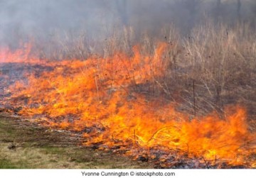 Usina atingida prev R$ 3 milhes de prejuzo com incndio
