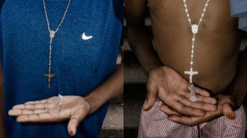 Coleta de cabelo de usu�rios � aposta de SP contra K9