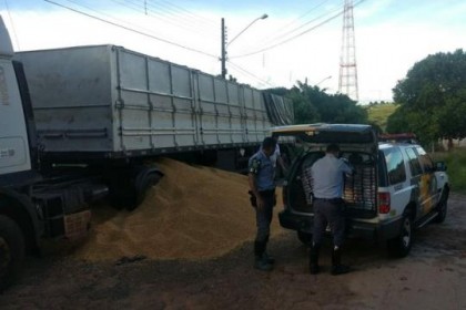 Droga estava escondida em um caminh�o carregado com milho a granel em Marab� Paulista (Foto: Pol�cia Militar Rodovi�ria/Divulga��o)