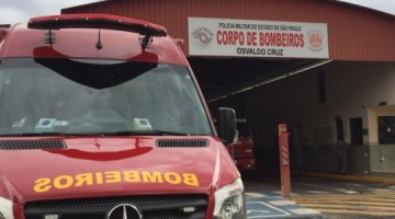 Cachorra alerta dona e evita inc�ndio em Osvaldo Cruz