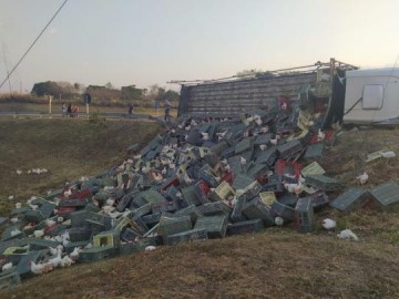 Caminh�o tomba em rotat�ria na Rodovia da Integra��o e espalha carga de mais de 2 mil frangos vivos