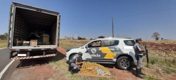 Fiscaliza��o prende casal em flagrante com mais de 140 tabletes de maconha em caminh�o