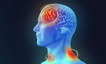 Secretaria de Sa�de de Osvaldo Cruz e Santa Casa confirmam �bito por meningite