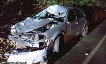 Bastenses sofrem ferimentos em acidente provocado por bovino na vicinal Bastos-Tup�