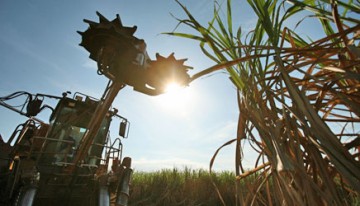 Salmour�o oferece curso para m�quinas