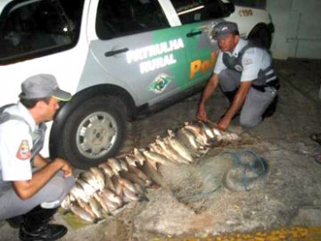 Luclia: Polcia Ambiental apreende 55 kg de corimbat e aplica multa