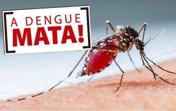 Osvaldo Cruz confirma terceiro bito por dengue em 2023