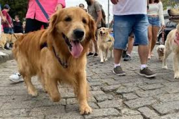 C�ominhada acontece no dia 30 de novembro em OC