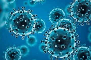 Vigilncia Epidemiolgica de Osvaldo Cruz confirma 05 novos casos de covid-19 nesta tera-feira, 14