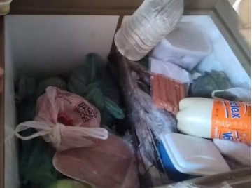 Idoso de 70 anos � multado e responder� criminalmente por armazenar carne de jacar�, em Adamantina