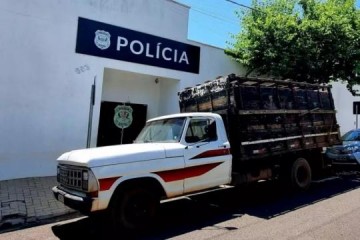 Homem condenado a mais de 10 anos pela Justi�a de Tup� por furto de gado � preso em Birigui