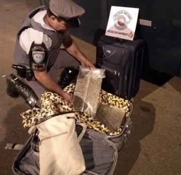 Pol�cia apreende mais de 15 kg de maconha e prende mulher por tr�fico durante abordagem na SP-270