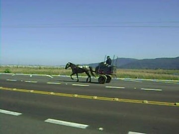 Motociclista bate em carro�a na rodovia e tem ferimentos graves