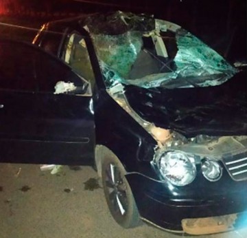 Morre motorista de Paragua�u que atropelou cavalo solto na rodovia