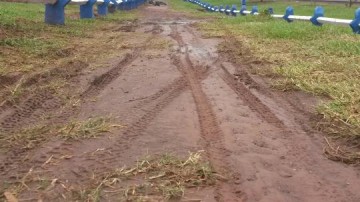 Usu�rios pedem retirada de terra e grama na ciclovia entre cidade e Distrito Industrial