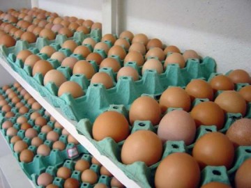 Sobe o preo do ovo de galinha no Oeste Paulista