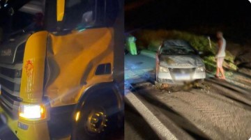 Cavalo invade pista, � atropelado duas vezes e causa s�rie de acidentes em rodovia de Gar�a