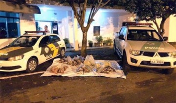 Pol�cia Rodovi�ria de Tup� flagra casal com mais de 130 quilos de peixes