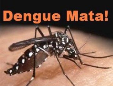 Osvaldo Cruz chega a 60 casos de dengue