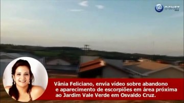 VDEO: Moradora reclama sobre mato alto em rea prxima ao bairro Vale Verde
