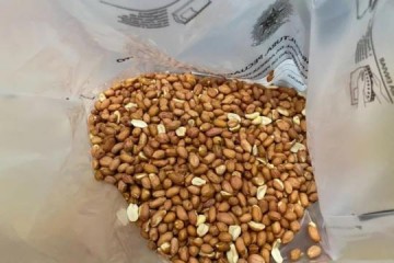 Operao fiscaliza mais de 220 mil quilos de amendoim em indstrias na regio de Marlia