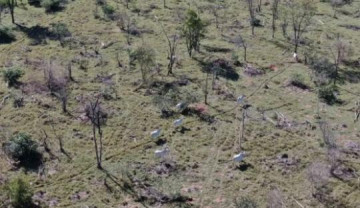 Idoso � multado em R$ 10 mil por criar gado dentro de parque estadual embargado de Ouro Verde