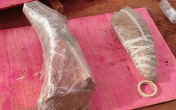 Novos f�sseis de dinossauro s�o encontrados na regi�o, no km 85 da BR-153