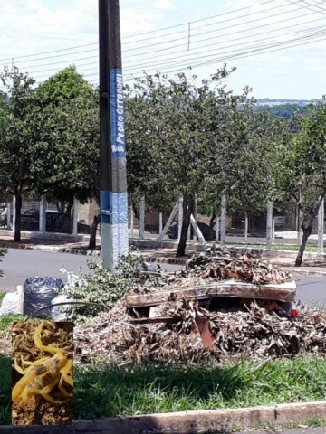 Internauta denuncia escorpi�o em meio a entulho no Conjunto �lvaro Campoy