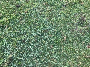 Frio atinge pico nesta ter�a-feira em Osvaldo Cruz