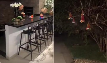 V�DEO: Xuxa alimenta morcegos em casa e especialista alerta sobre riscos � sa�de humana