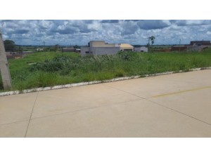 Morador do Bairro Ip�-2 em Osvaldo Cruz reclama de mato alto e animais pe�onhentos