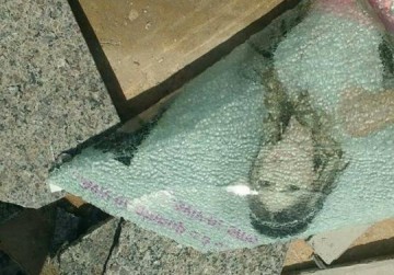 VERGONHA: familiares denunciam novo vandalismo no cemit�rio de Osvaldo Cruz