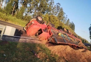 Caminh�o carregado com toneladas de amendoim tomba e interdita rodovia em Iacri