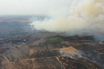 Incndio em vegetao atinge 400 mil metros quadrados e forma nuvem gigante de fumaa em Junqueirpolis
