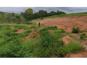 Polcia Ambiental utiliza monitoramento via satlite para multar em R$ 8 mil fazendeiro que degradou vegetaes em rea de preservao