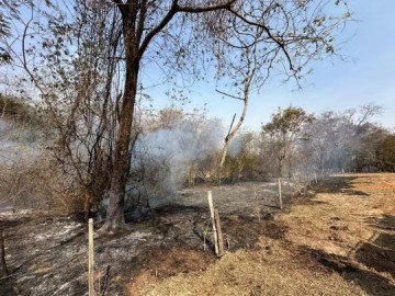 Incndio de grandes propores atinge dois bairros e uma rea de Preservao Permanente, em Dracena