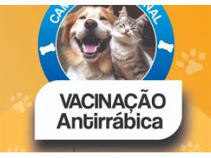 CCZ faz �ltima rotina de vacina��o de c�es e gatos na pr�xima ter�a (23)