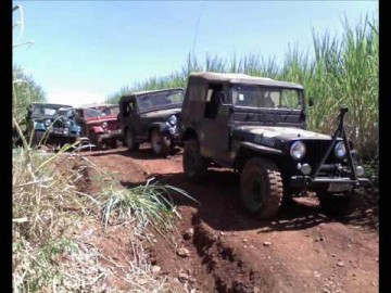 OC tem Jipada neste fim de semana