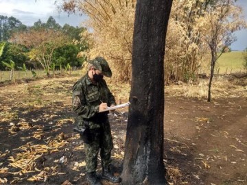 Imagens de satlite apontam focos de fogo em chcara e polcia constata queimada de oito rvores