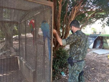 Equipe da Polcia Militar Ambiental multou homem de 46 anos por ter em cativeiro sem regularizao animais silvestres