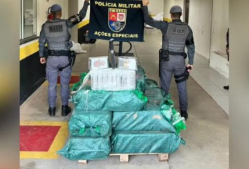 Martin�polis: Baep apreende mais de 500 kg de coca�na ap�s persegui��o e troca de tiros