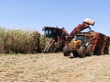 Em um ano, regio perde quase R$ 100 milhes na agropecuria