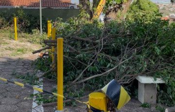 Santa Casa de Osvaldo Cruz remove �rvores para avan�ar com obras de amplia��o