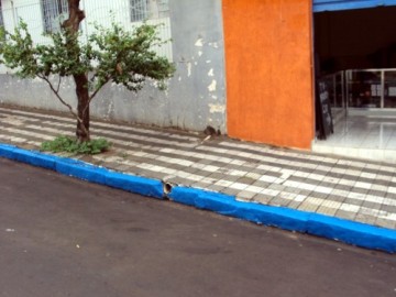 Fim da zona azul em OC?