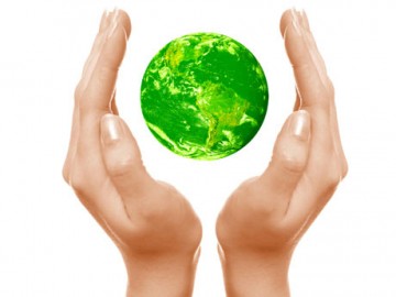 No Dia Mundial do Meio Ambiente, saiba o que fazer para contribuir