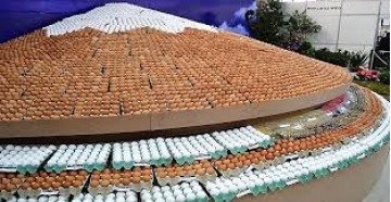 Gripe avi�ria faz organiza��o adiar Festa do Ovo 2025