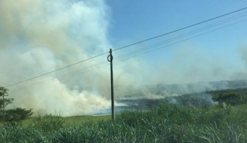 Bombeiros de OC controlam inc�ndio pr�ximo ao Mais Motel