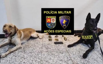 Passageiro flagrado com haxixe marroquino em �nibus interestadual acaba preso por tr�fico internacional de droga