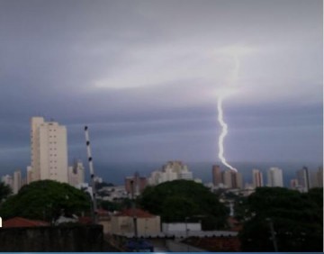 Chuva causa quedas de �rvores e alagamentos em Presidente Prudente